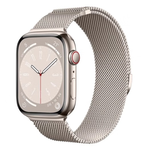 Apple Watch Band Magnetic Clasp Replacement