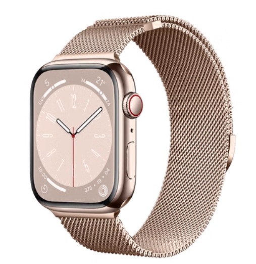Apple Watch Band Magnetic Clasp Replacement