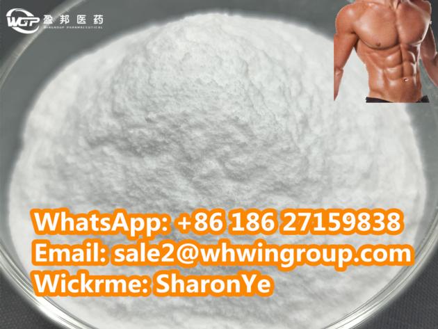 Body Building Muscle Growth Supplements SR9009
