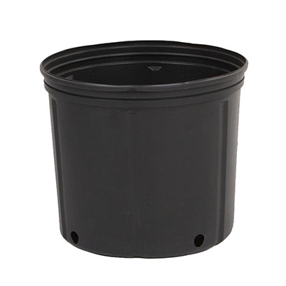 Plastic black 2 gallon nursery pots wholesale supplier
