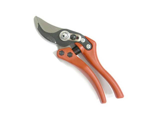 Professional Garden Hand Pruner  3169-1