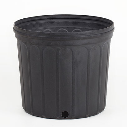 Plastic black 3 gallon nursery pots wholesale price