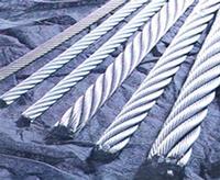 Galvanized Steel Wire Rope