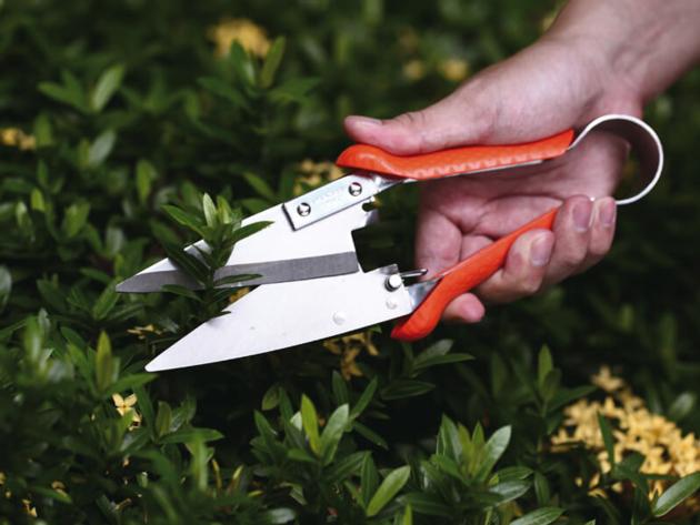 Leafage and Grass Shears  3151-2SP