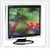 Lcd monitor - 9005L11