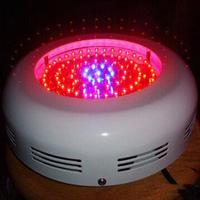 LED Grow Light