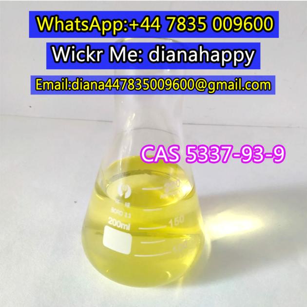 CAS 5337 93 9 CAS 1009