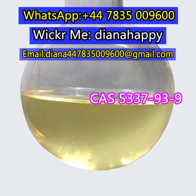 CAS 5337 93 9 CAS 1009