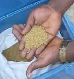 Gold Dust, Gold Bars