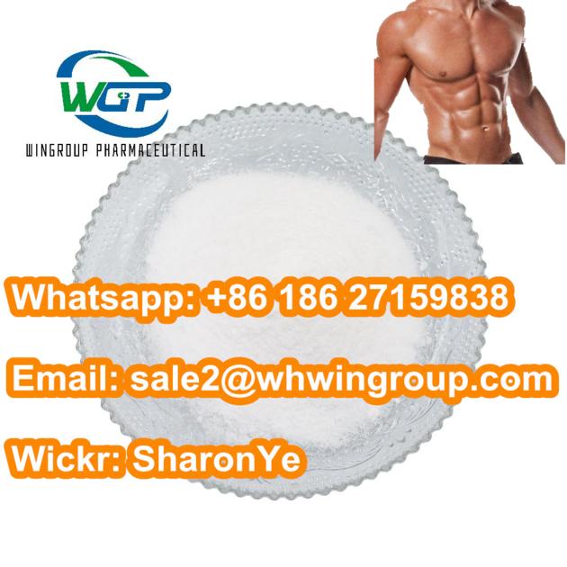 Body Building Muscle Growth Supplements SR9009