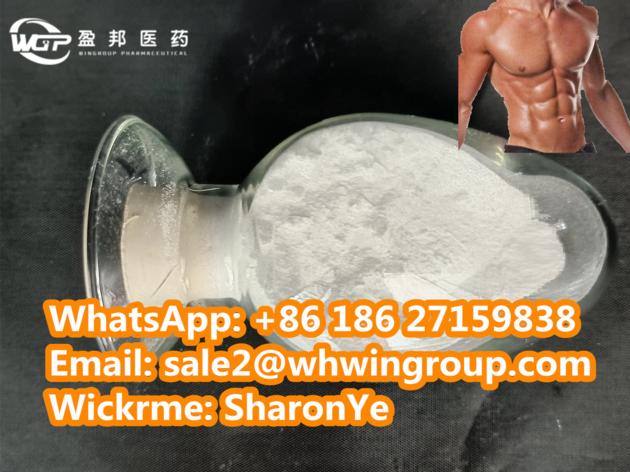 Body Building Muscle Growth Supplements SR9009