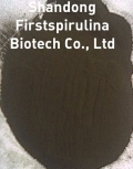 chlorella powder