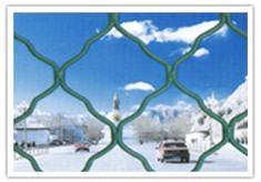Safety Mesh