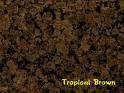 tropical brown