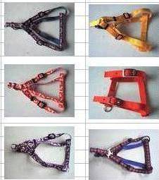 Dog Harness