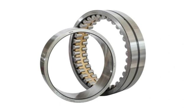 Double-Row Cylindrical Roller Bearings