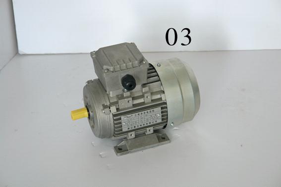 three-phase electric motor