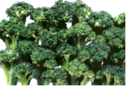 frozen broccoli