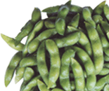 frozen soy bean