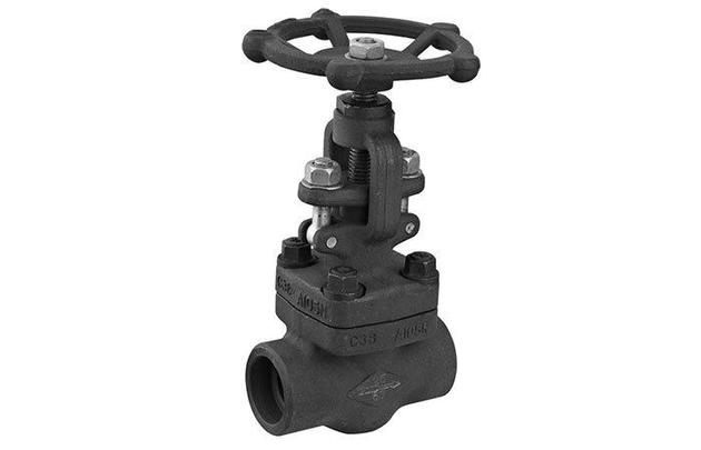 Thread Stainless Steel Globe Valve