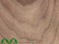 American walnut