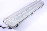 IP65 Tri-proof LED Light