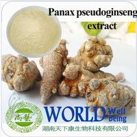 Panax Pseudoginseng Extract Notoginsenoside UV50%