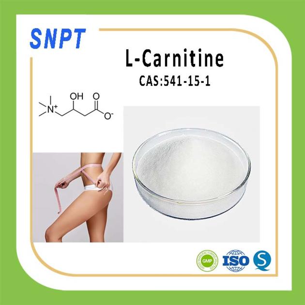 Nutritional Supplement/Slimming Product/High Quality L-carnitine Powder Wholesale with Factory Price
