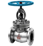 CS Globe valves