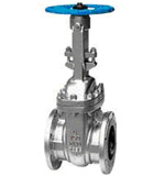 CS Wedge Gate valves