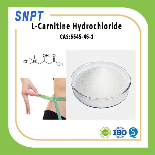 Hot Sale Weight Loss Health Product L-Carnitine HCl, 99% Powder CAS 6645-46-1, Wholesale