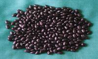 Black Kidney Bean