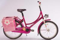 20inch bicycle for girl europe type