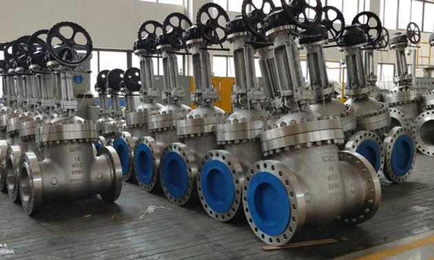 Stainless Steel Gate Valves