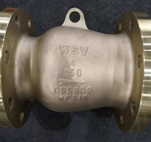 Check Valves