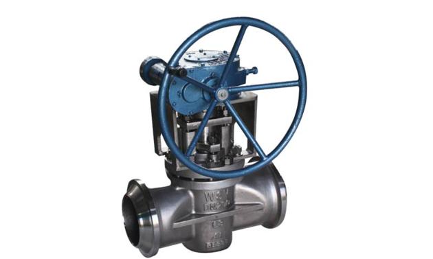 Duplex Plug Valves