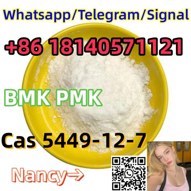 New Bmk Powder Cas 5449–12–7 BMK Glycidic Acid sodium salt 99% White Powder