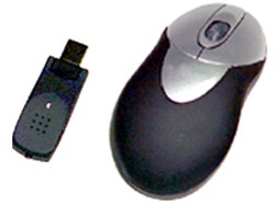 MOUSE