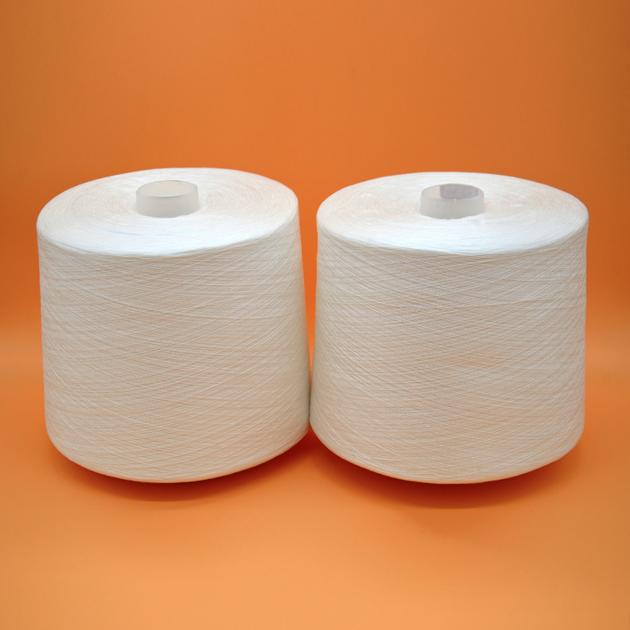 Plastic Spun Polyester Sewing Thread 42/2 Made in China