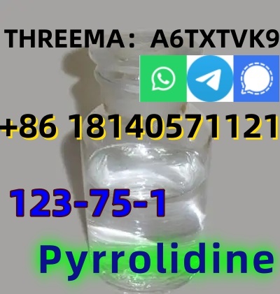 good quality Pyrrolidine CAS 123-75-1 factory supply with low price and fast shipping