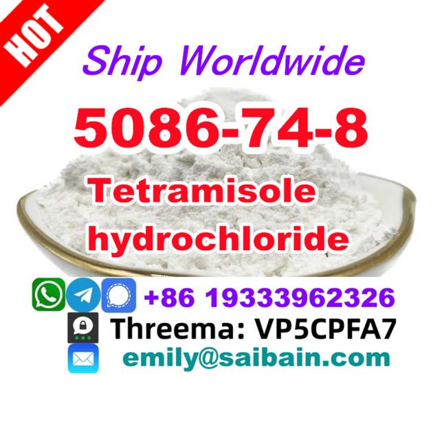 Tetramisole hydrochloride CAS 5086-74-8 Global Supply