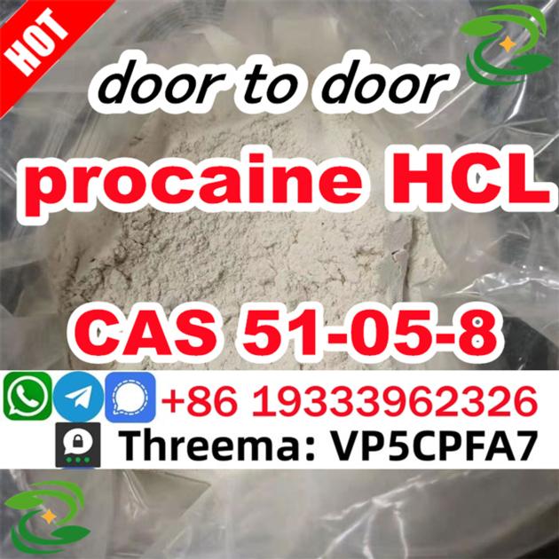 Procaine Powder Cas 51 05 8