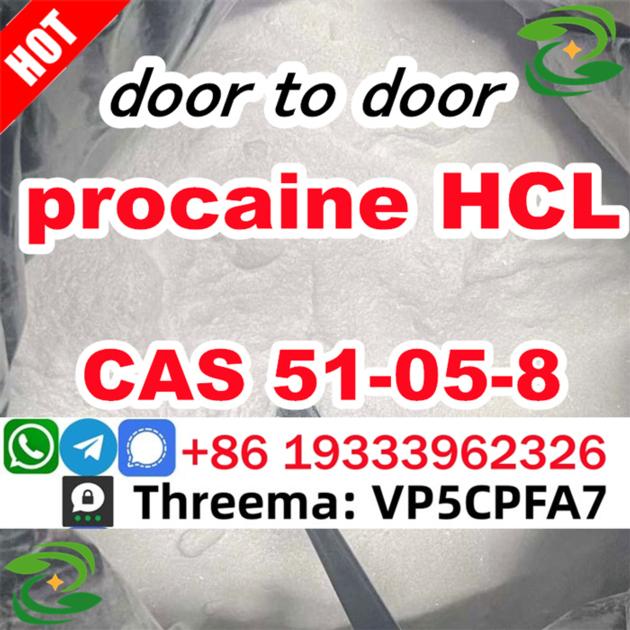Procaine Powder Cas 51 05 8