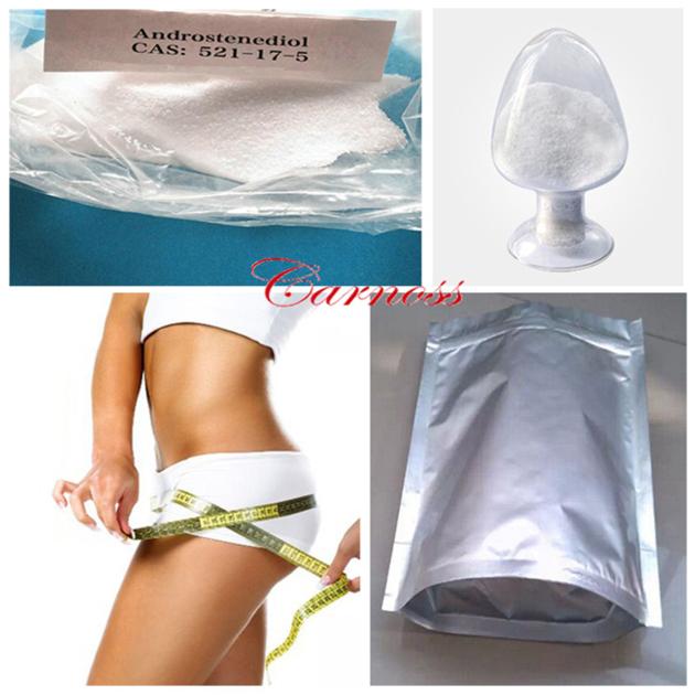Selloffer Androstenediol 521 17 5 95