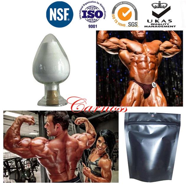 CAS 521-18-6 Testosterone Anabolic Steroids DHT For Chronic Wasting Disease API