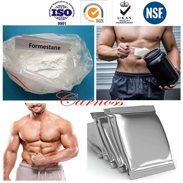 Formestane Anabolic Steroid Hormones 4-Hydroxyandrost-4-ene-3 17-dione CAS NO 566-48-3