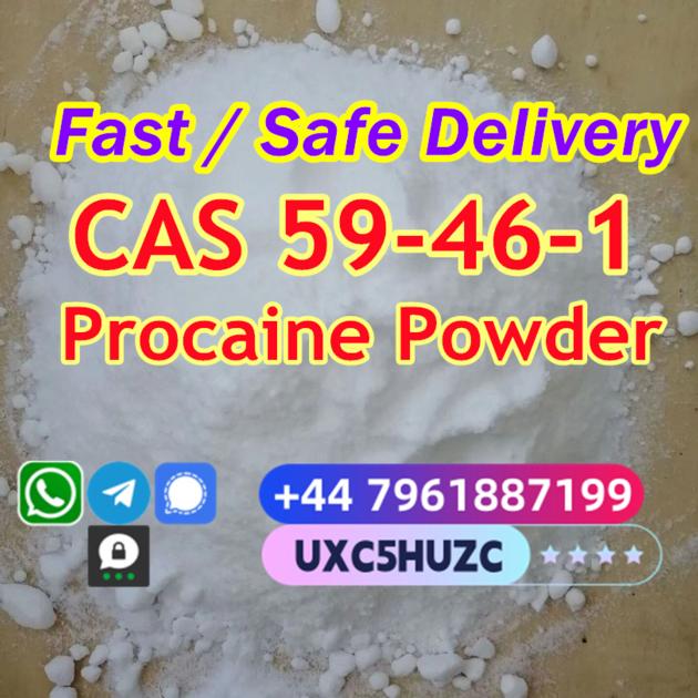 Procaine Freebase Cas CAS 59 46