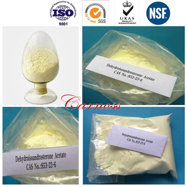 Effective Bodybuilding Dehydroepiandrosterone Acetate
