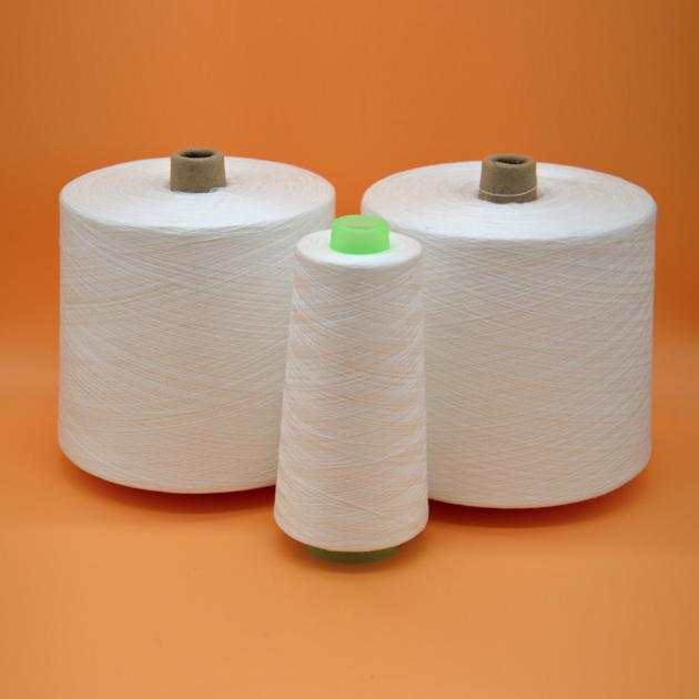 China Sewing Thread Raw White 100