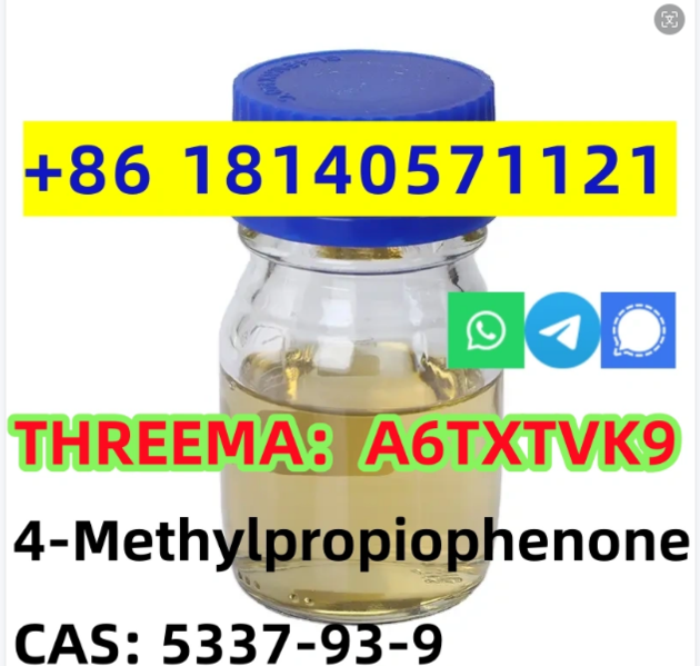 Cas 5337-93-9 4-Methylpropiophenone P-METHYLPROPIOPHENONE BMK